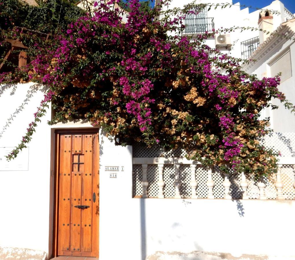 Beach Villa ,Nerja, Seaview, Pool, 3 Bedrooms, Huge Terrace And Garden 외부 사진